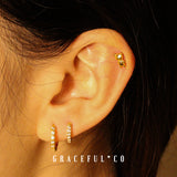 Bear Bear Ball Back Earrings